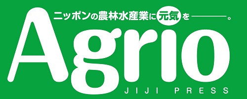 テスト